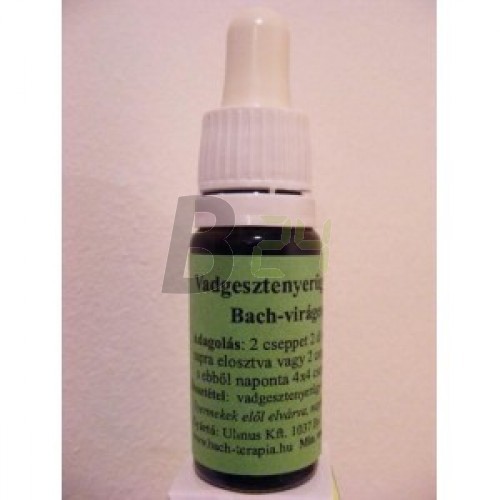 Bach virágeszencia vadgesztenyerügy (10 ml) ML058848-110-1