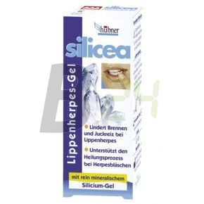 Hübner silicea ajakherpesz gél (2 g) ML062740-21-5