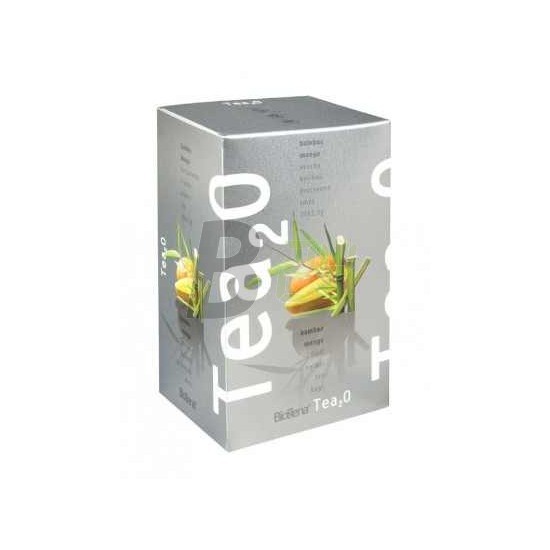 Tea2o feketeribizli-acai bogyó (20 filter) ML074253-38-9