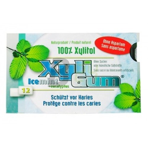 Xyligum rágógumi jégmenta (12 db) ML076345-21-1