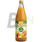 Biopont bio alma-mangó gyümölcslé 750 ml (750 ml) ML015054-3-5
