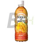 Pokka fekete tea mangó (500 ml) ML044080-12-9