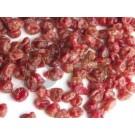 Régimódi bio aszalt magozott cseresznye (200 g) ML046974-1-65