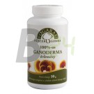 Fogarasi ganoderma őrlemény (10 g) ML064838-16-2