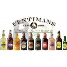 Fentimans pitypang-bojtorján ital (275 ml) ML071233-1-8