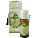 Zelka illóolaj eukaliptusz (10 ml) ML074277-25-11