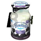 Landliebe joghurt szeder 150 g (150 g) ML078563-40-4